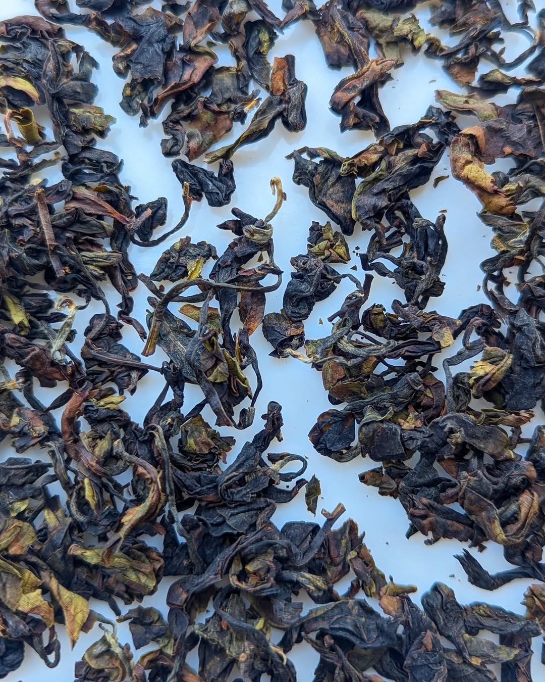 Otucha Oolong