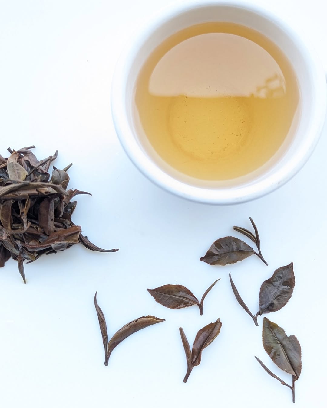 Otucha White Tea | Limited Experimental Batch