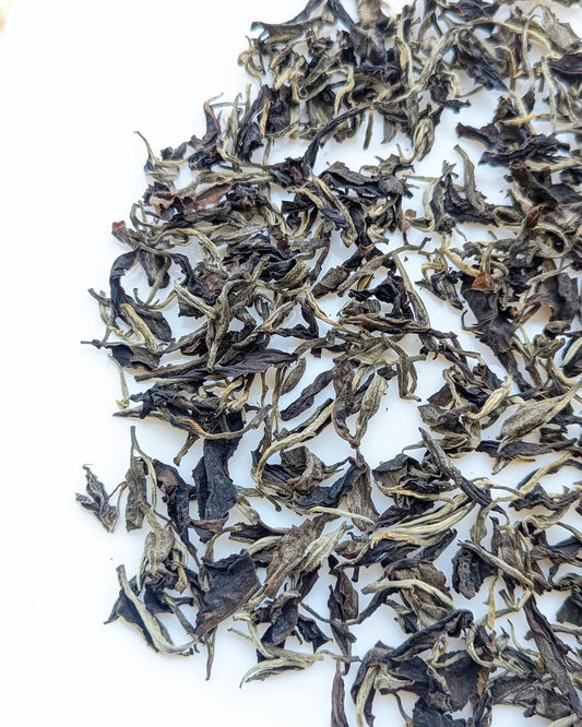 Otucha White Tea | Limited Experimental Batch