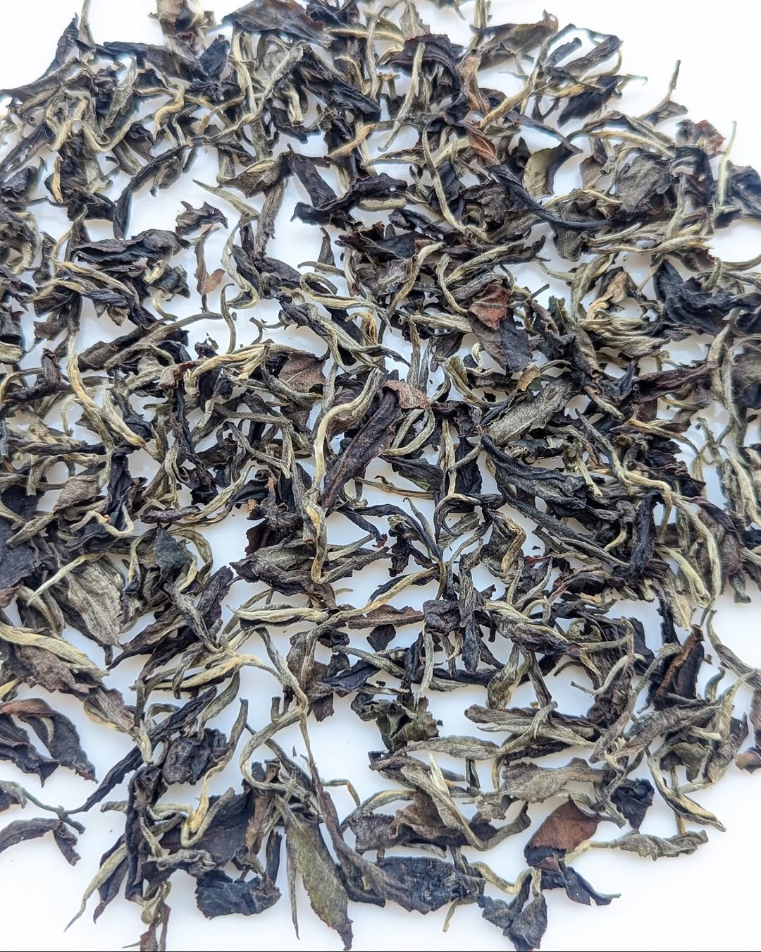 Otucha White Tea | Limited Experimental Batch